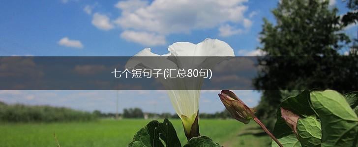 七个短句子(汇总80句),第1张