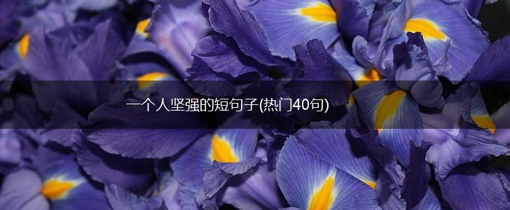 一个人坚强的短句子(热门40句),第1张
