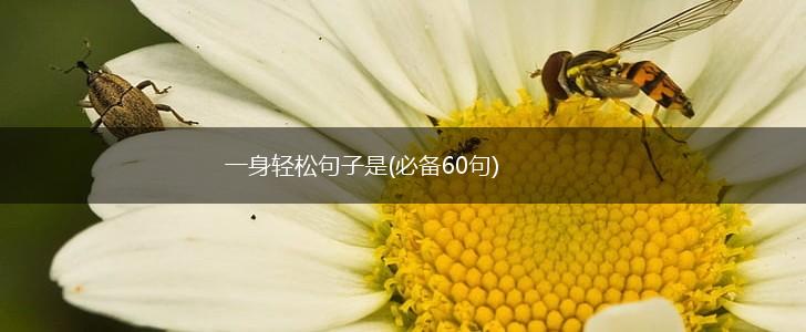 一身轻松句子是(必备60句),第1张