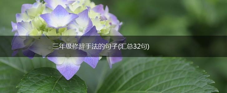 三年级修辞手法的句子(汇总32句),第1张