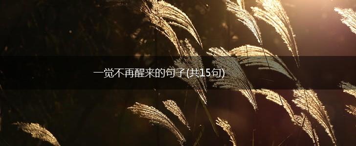 一觉不再醒来的句子(共15句),第1张