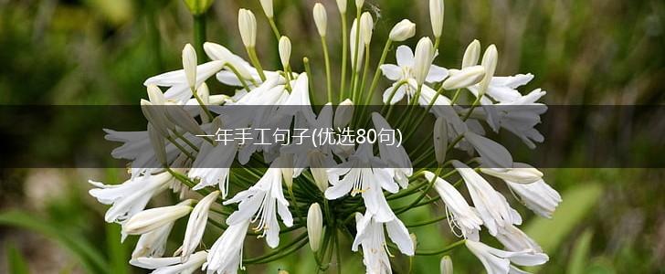 一年手工句子(优选80句),第1张