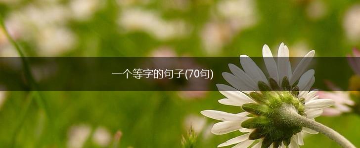 一个等字的句子(70句),第1张