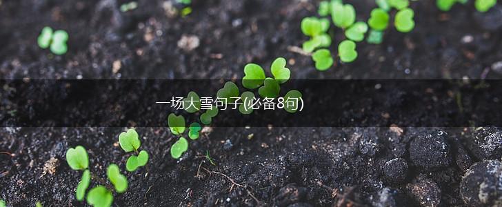 一场大雪句子(必备8句),第1张