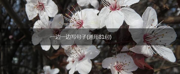 一边一边写句子(通用81句),第1张