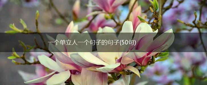 一个单立人一个句子的句子(50句),第1张
