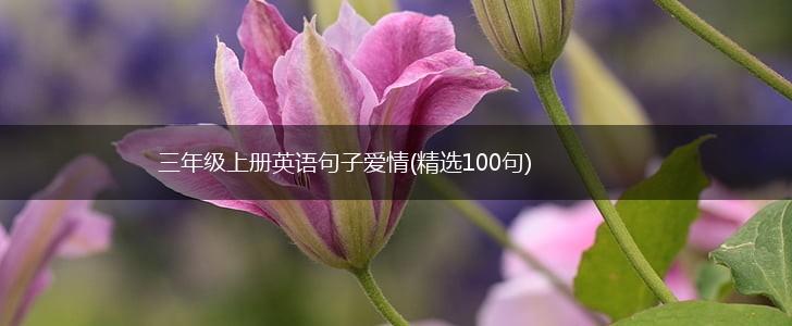 三年级上册英语句子爱情(精选100句),第1张