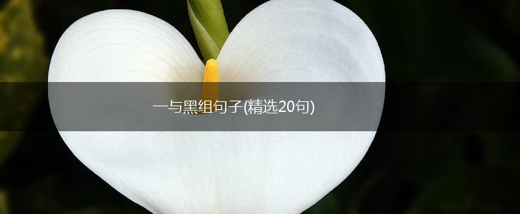 一与黑组句子(精选20句),第1张