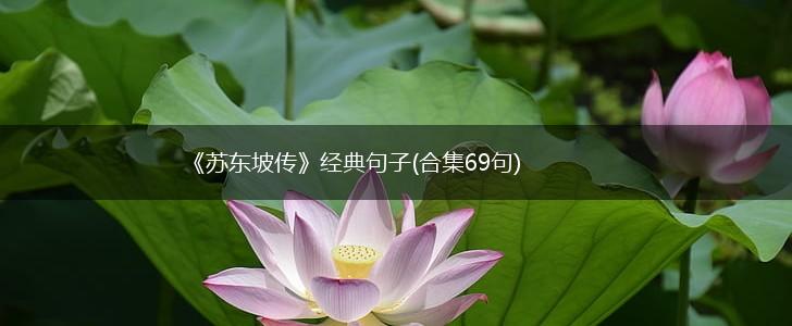 《苏东坡传》经典句子(合集69句),第1张