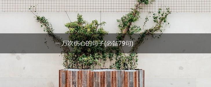 一万次伤心的句子(必备79句),第1张