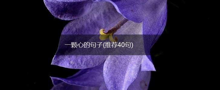 一颗心的句子(推荐40句),第1张