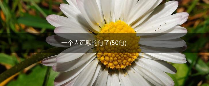 一个人沉默的句子(50句),第1张