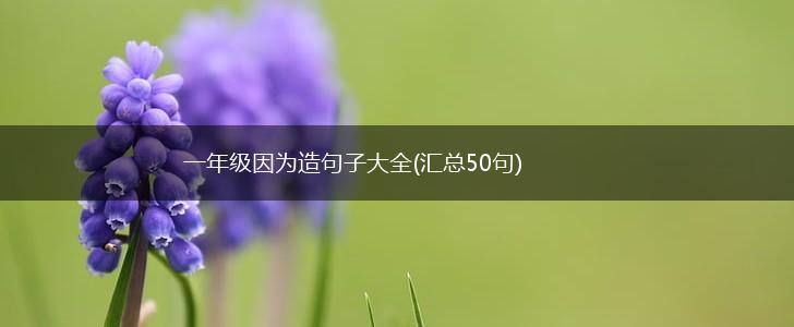 一年级因为造句子大全(汇总50句),第1张