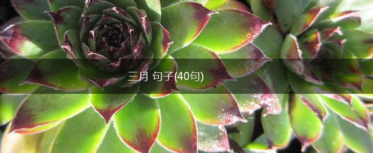 三月 句子(40句),第1张