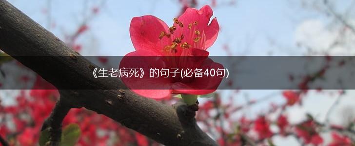 《生老病死》的句子(必备40句),第1张