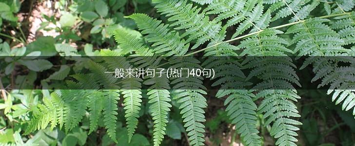 一般来讲句子(热门40句),第1张
