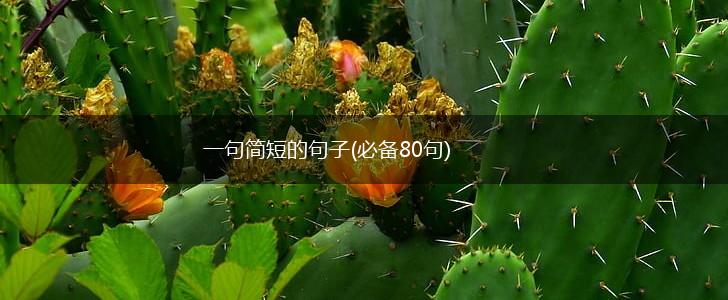 一句简短的句子(必备80句),第1张