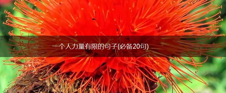 一个人力量有限的句子(必备20句),第1张