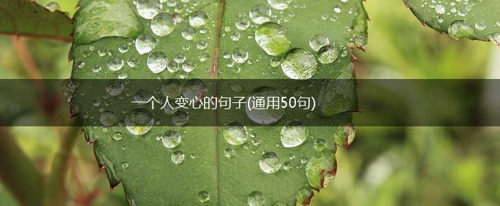 一个人变心的句子(通用50句),第1张