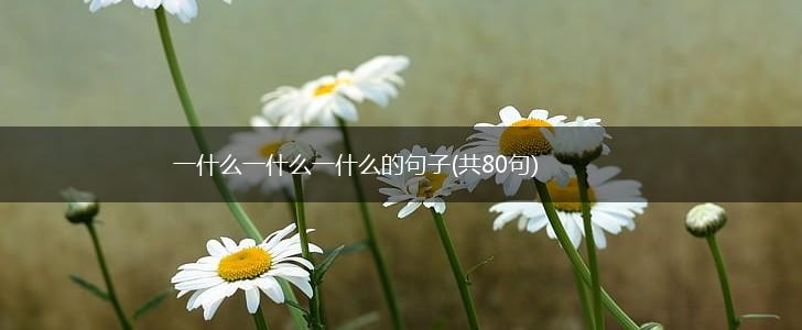 一什么一什么一什么的句子(共80句),第1张