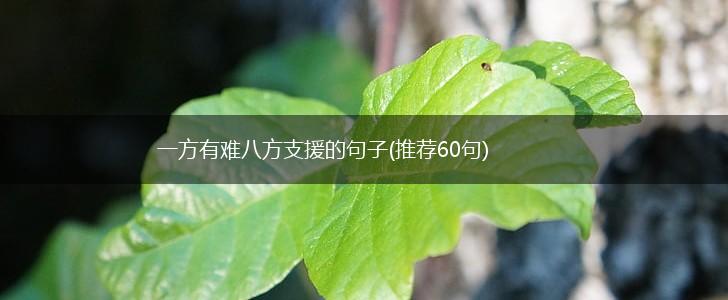 一方有难八方支援的句子(推荐60句),第1张