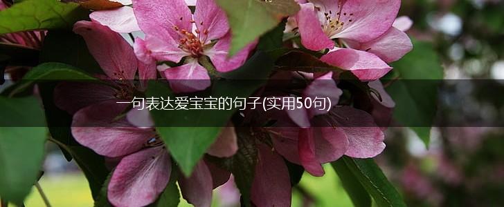 一句表达爱宝宝的句子(实用50句),第1张