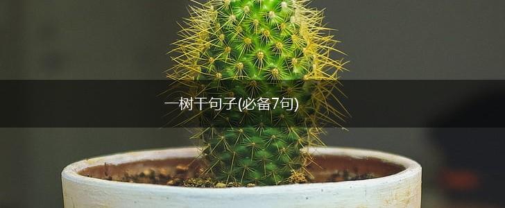 一树干句子(必备7句),第1张