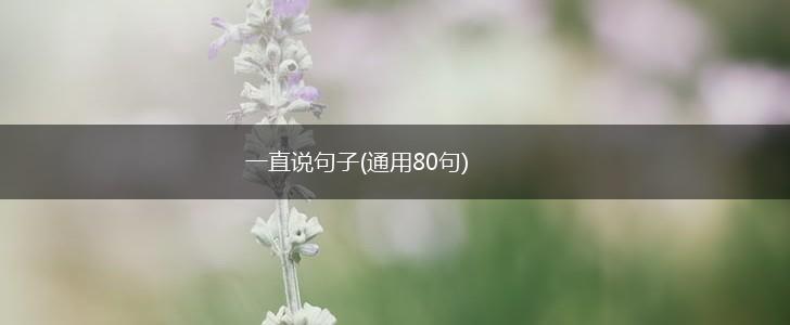 一直说句子(通用80句),第1张