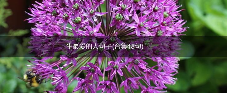 一生最爱的人句子(合集48句),第1张