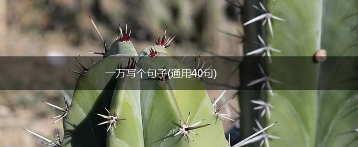 一万写个句子(通用40句),第1张