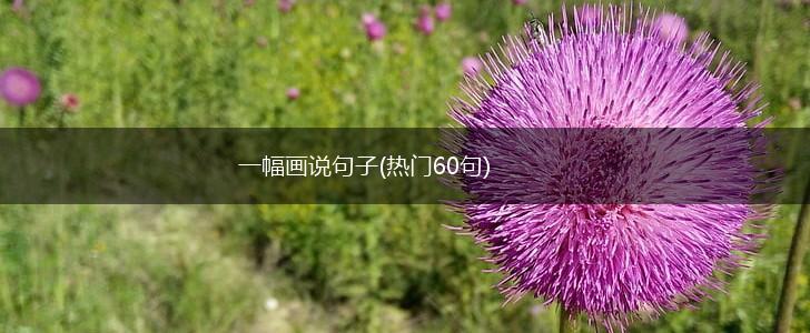 一幅画说句子(热门60句),第1张