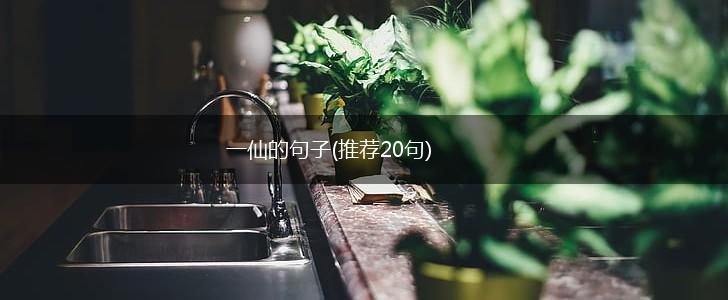 一仙的句子(推荐20句),第1张