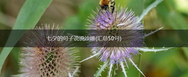 七夕的句子说说沙雕(汇总50句),第1张