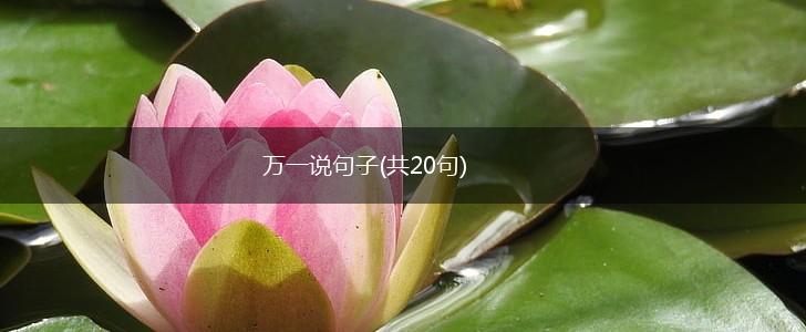 万一说句子(共20句),第1张