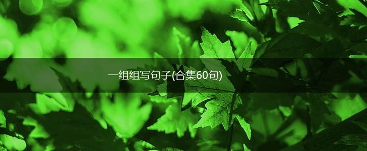 一组组写句子(合集60句),第1张