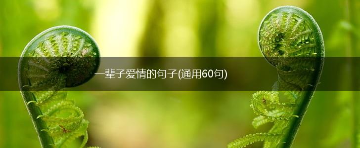一辈子爱情的句子(通用60句),第1张