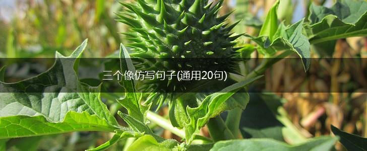 三个像仿写句子(通用20句),第1张