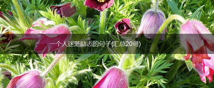 一个人迷茫励志的句子(汇总20句),第1张