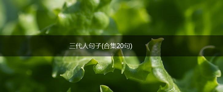 三代人句子(合集20句),第1张