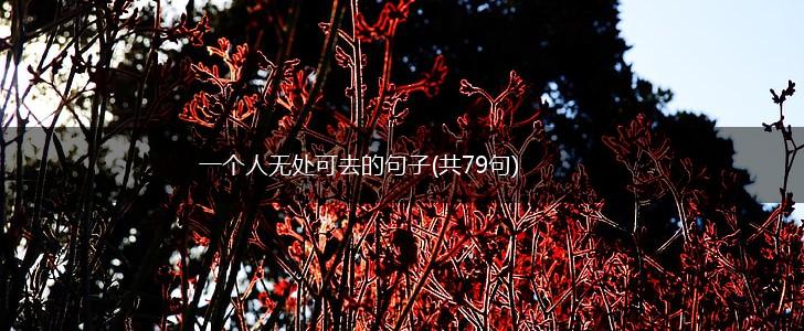 一个人无处可去的句子(共79句),第1张