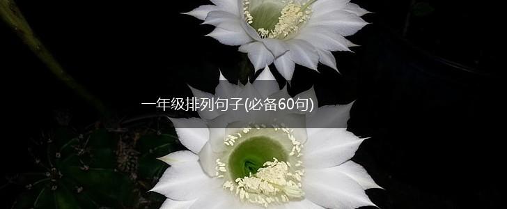 一年级排列句子(必备60句),第1张