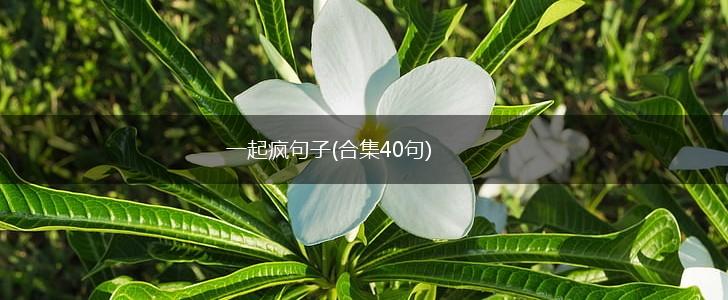 一起疯句子(合集40句),第1张