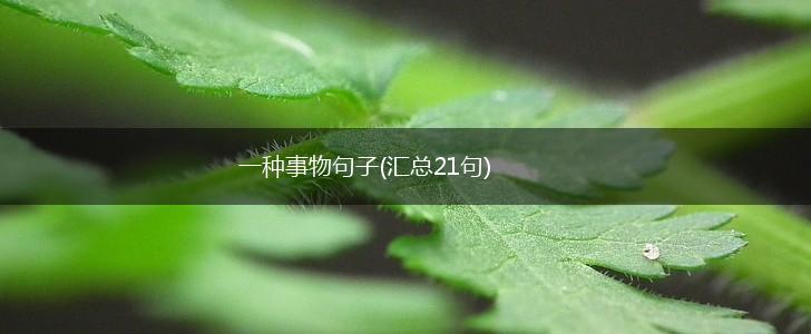 一种事物句子(汇总21句),第1张