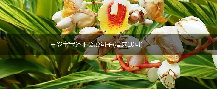 三岁宝宝还不会说句子(精选10句),第1张