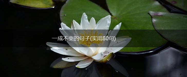 一成不变的句子(实用80句),第1张