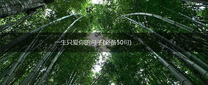 一生只爱你的句子(必备50句),第1张
