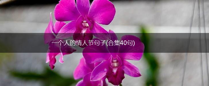 一个人的情人节句子(合集40句),第1张