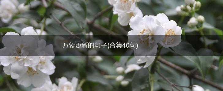 万象更新的句子(合集40句),第1张