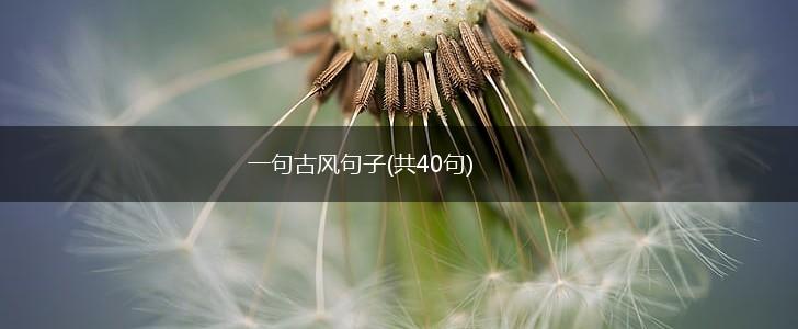 一句古风句子(共40句),第1张