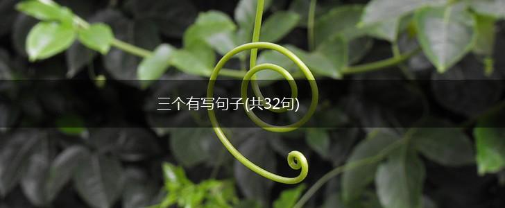 三个有写句子(共32句),第1张